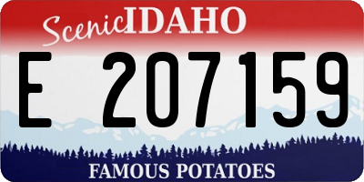 ID license plate E207159