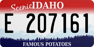 ID license plate E207161