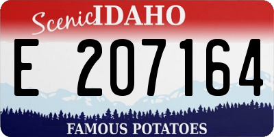 ID license plate E207164
