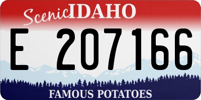 ID license plate E207166