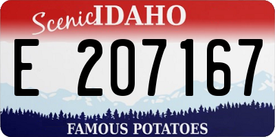 ID license plate E207167