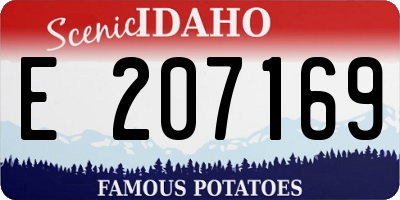 ID license plate E207169
