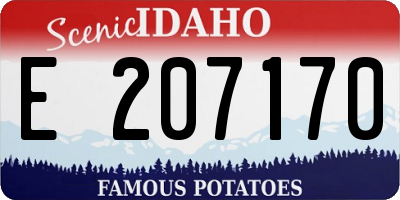 ID license plate E207170
