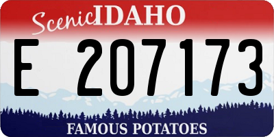 ID license plate E207173