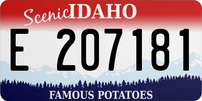 ID license plate E207181