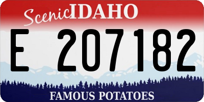 ID license plate E207182