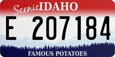ID license plate E207184