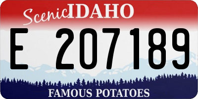 ID license plate E207189