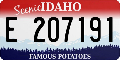 ID license plate E207191