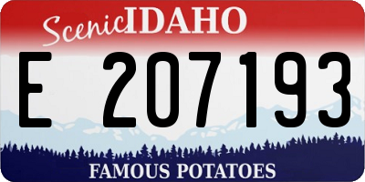 ID license plate E207193