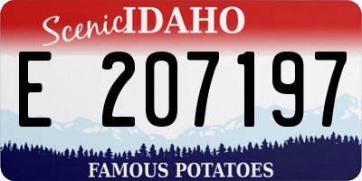 ID license plate E207197