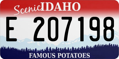 ID license plate E207198