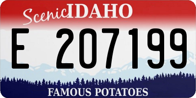 ID license plate E207199