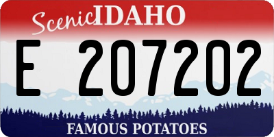 ID license plate E207202