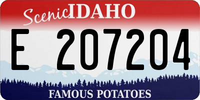 ID license plate E207204