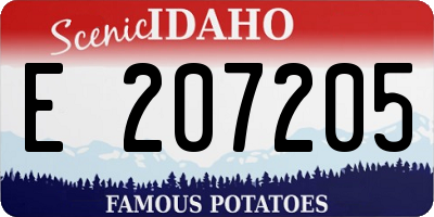 ID license plate E207205