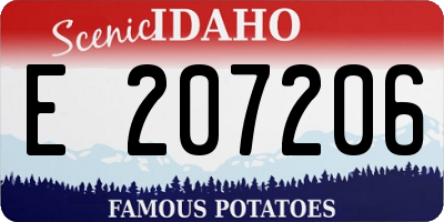 ID license plate E207206