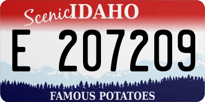 ID license plate E207209