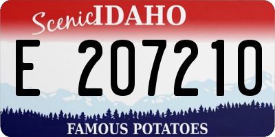 ID license plate E207210