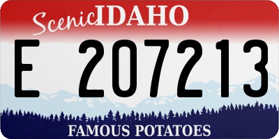 ID license plate E207213