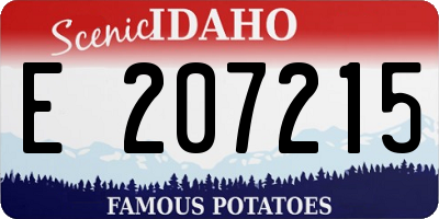 ID license plate E207215