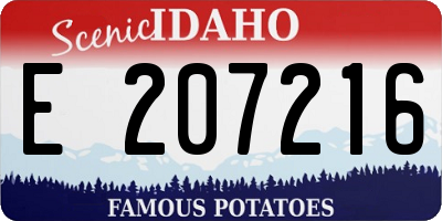 ID license plate E207216