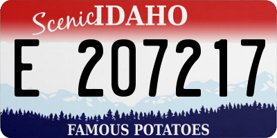 ID license plate E207217