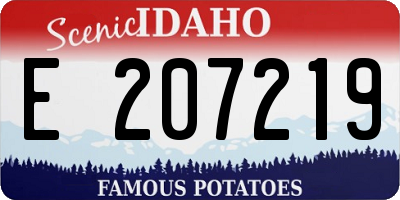 ID license plate E207219