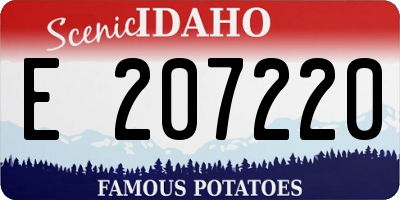 ID license plate E207220