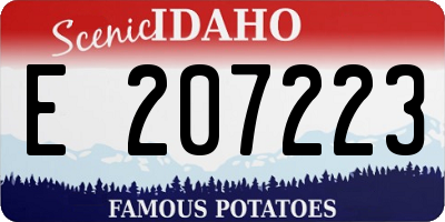 ID license plate E207223