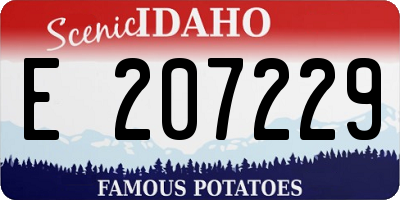 ID license plate E207229