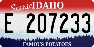 ID license plate E207233