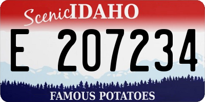 ID license plate E207234