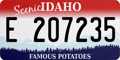 ID license plate E207235