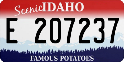 ID license plate E207237