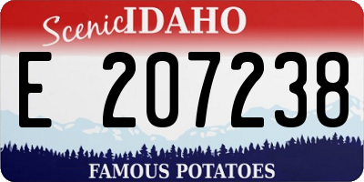ID license plate E207238