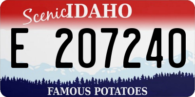 ID license plate E207240