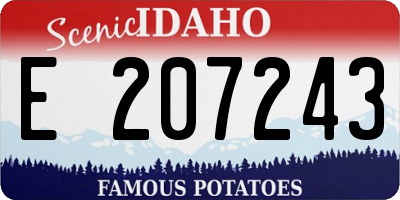 ID license plate E207243