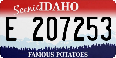 ID license plate E207253