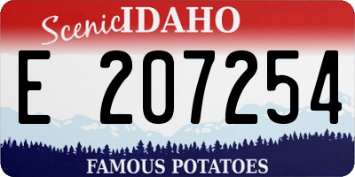 ID license plate E207254