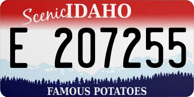 ID license plate E207255