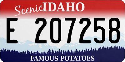ID license plate E207258
