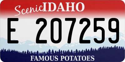 ID license plate E207259