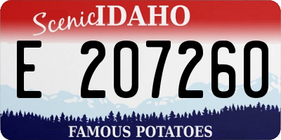 ID license plate E207260