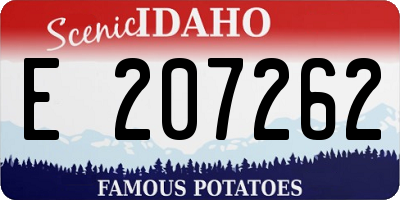 ID license plate E207262