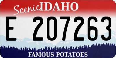ID license plate E207263