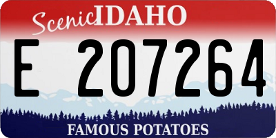 ID license plate E207264