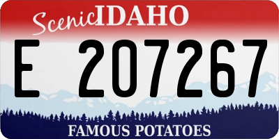 ID license plate E207267