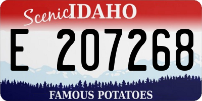 ID license plate E207268