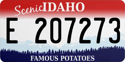 ID license plate E207273